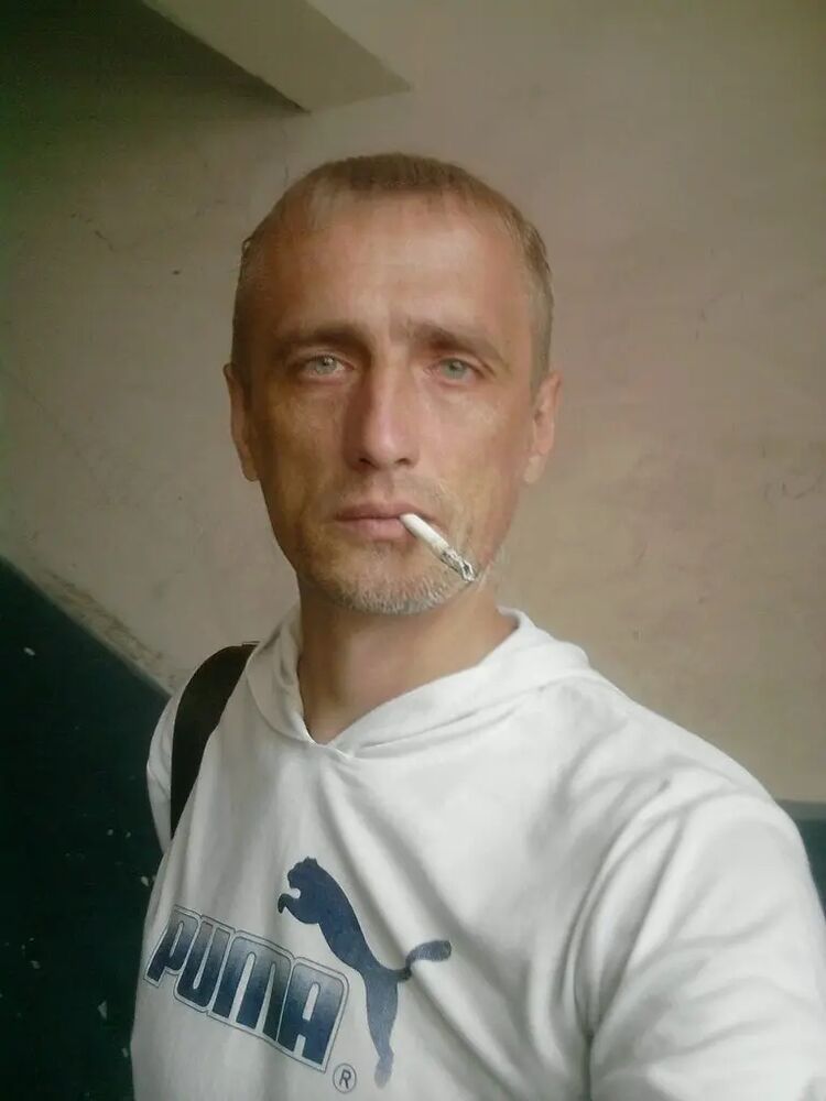  50491246  , 50 ,    