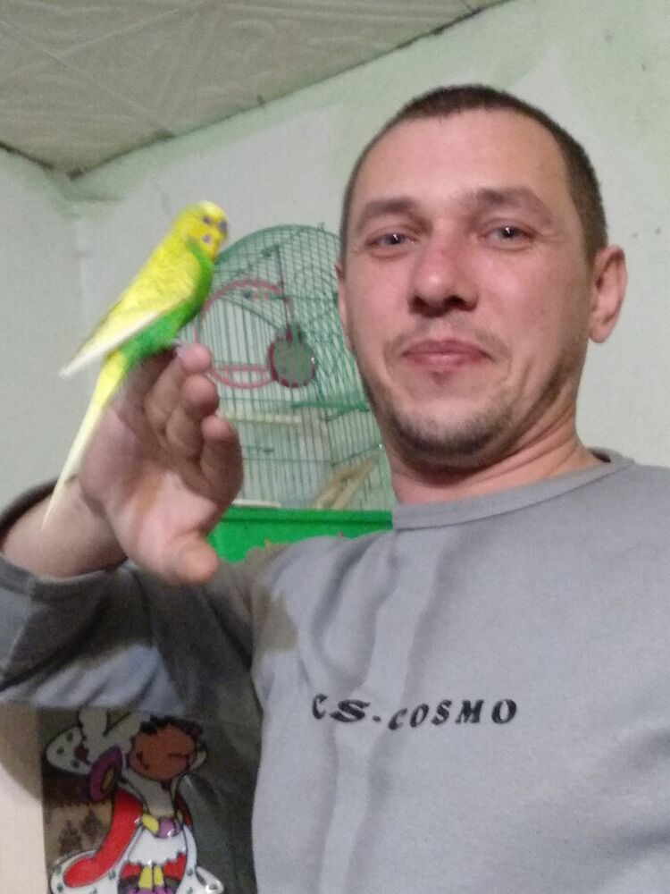 ���� 24619786 ������� ��������, 46 ���, ���� ���������� � ������������