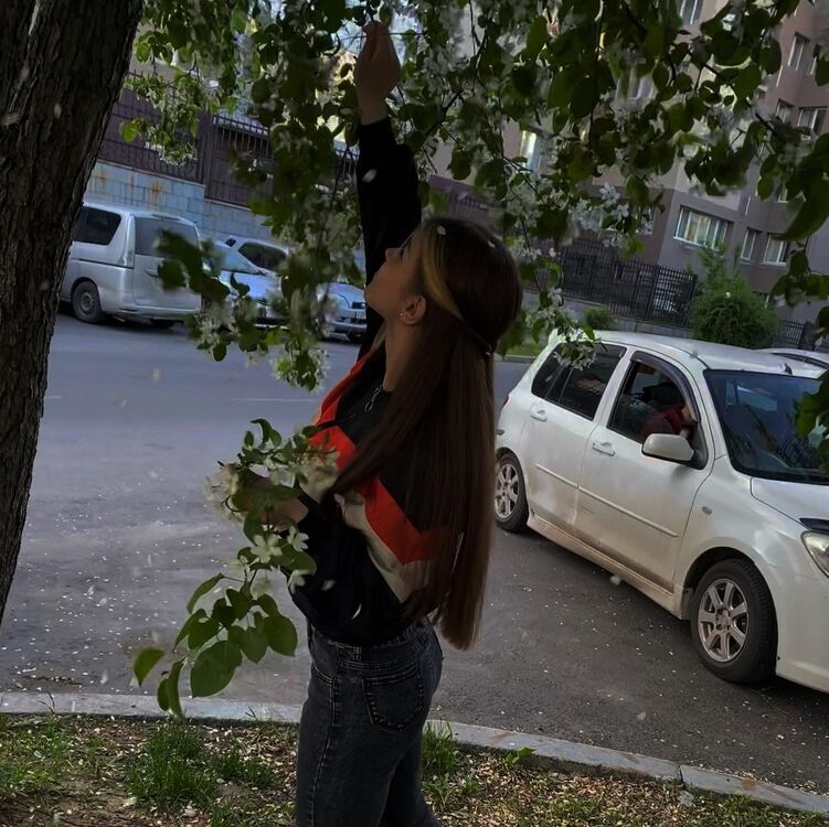  27461366  , 24 ,    