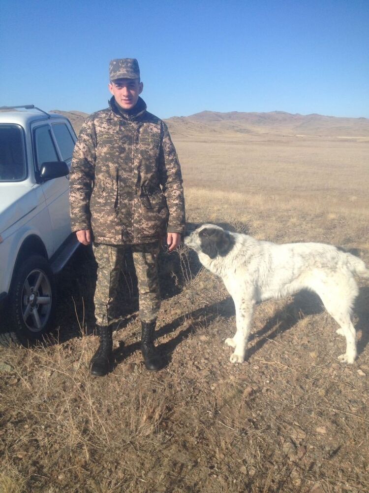 ���������� ������, ���� ������� �����, 28 ���, ������������ ��� ������, ����� � ���������, c�������� ���������