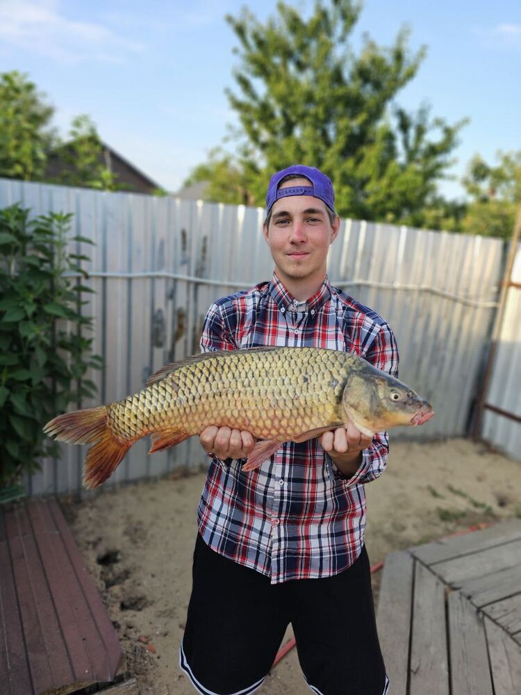  ,   Ghostwelov, 24 ,     , c 