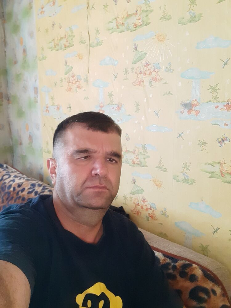  48054076  , 39 ,    -