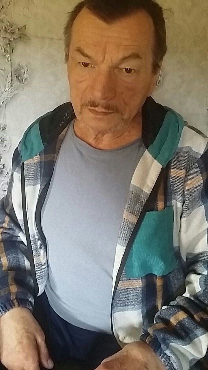  38115556  , 69 ,    