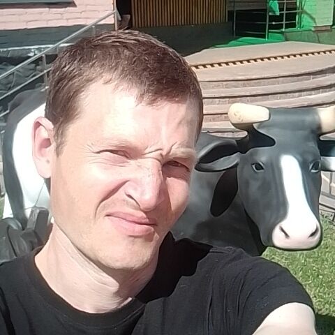  53845046  Jonoton, 33 ,    