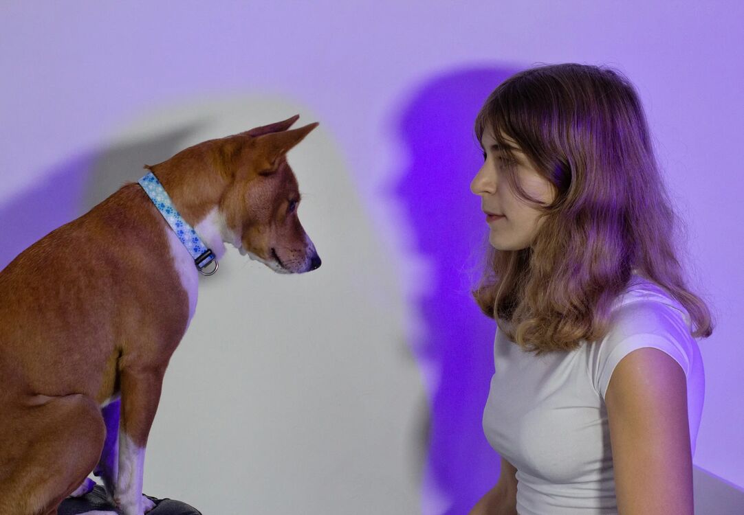 ���������� ���������, ���� ������� ��������, 21 ���, ������������ ��� ����� � ���������