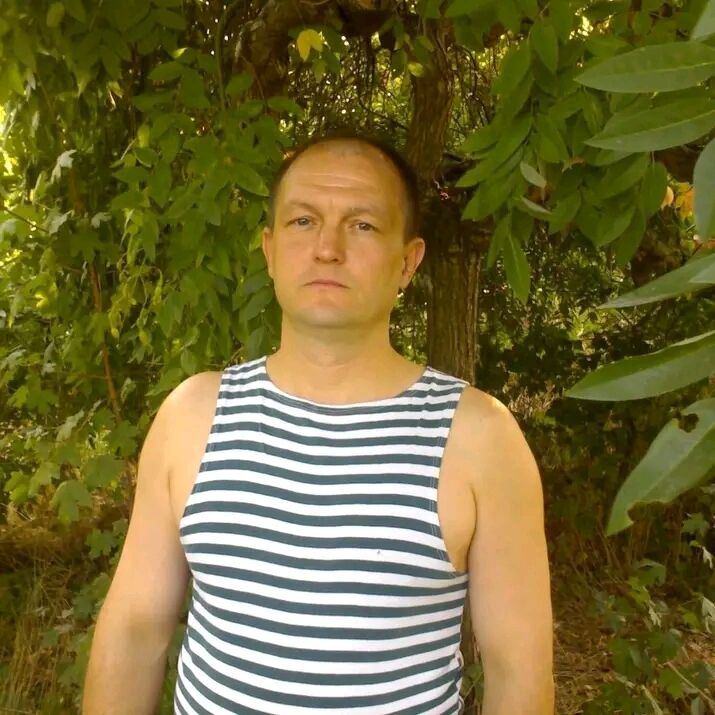  39490186  , 55 ,    