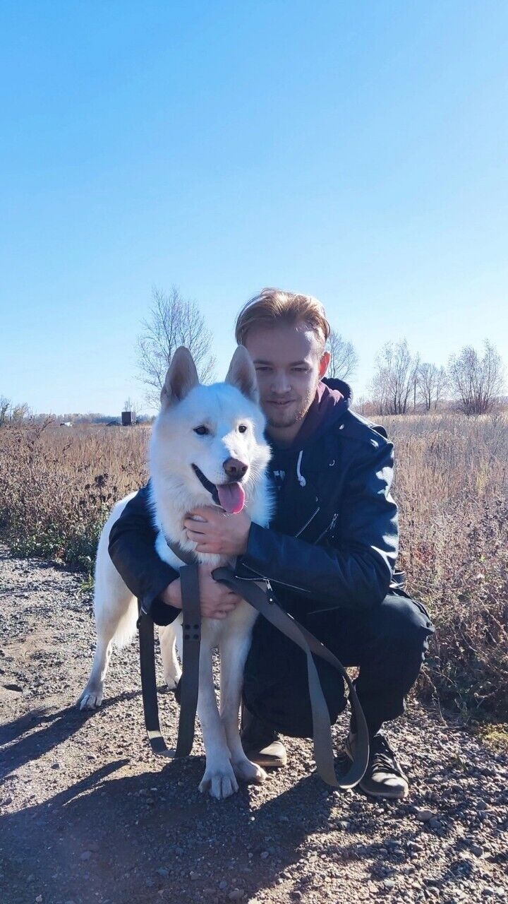 ���������� ��������, ���� ������� �������, 32 ����, ������������ ��� ������, ����� � ���������, c�������� ���������