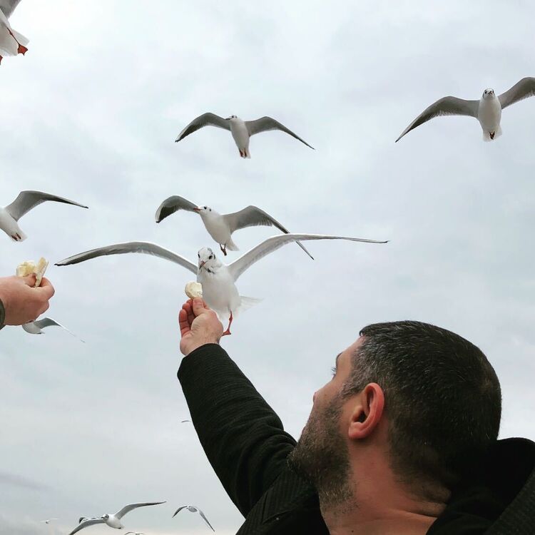 ���������� ������, ���� ������� Bro, 39 ���, ������������ ��� ������, ����� � ���������