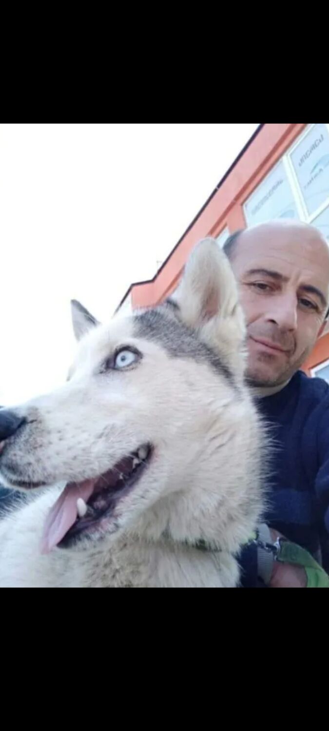  ,   , 56 ,   ,   , 
