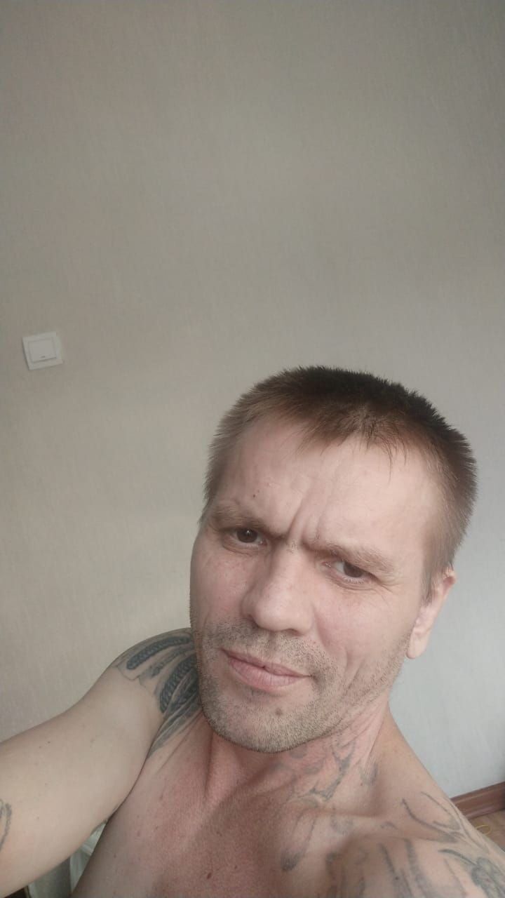  45081856  , 44 ,    