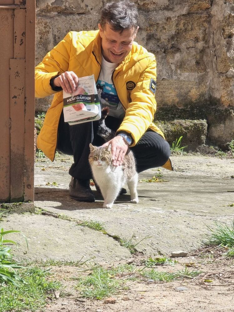 ���� 55774006 ������� ������, 41 ���, ���� ���������� � �����������