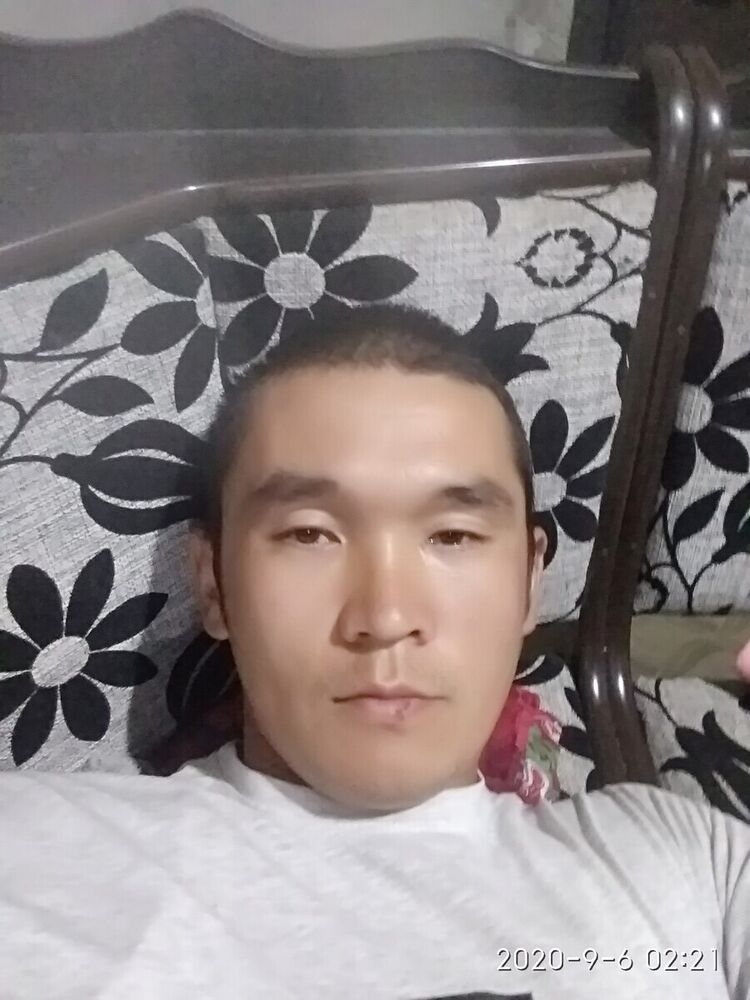  21011446  , 38 ,    -