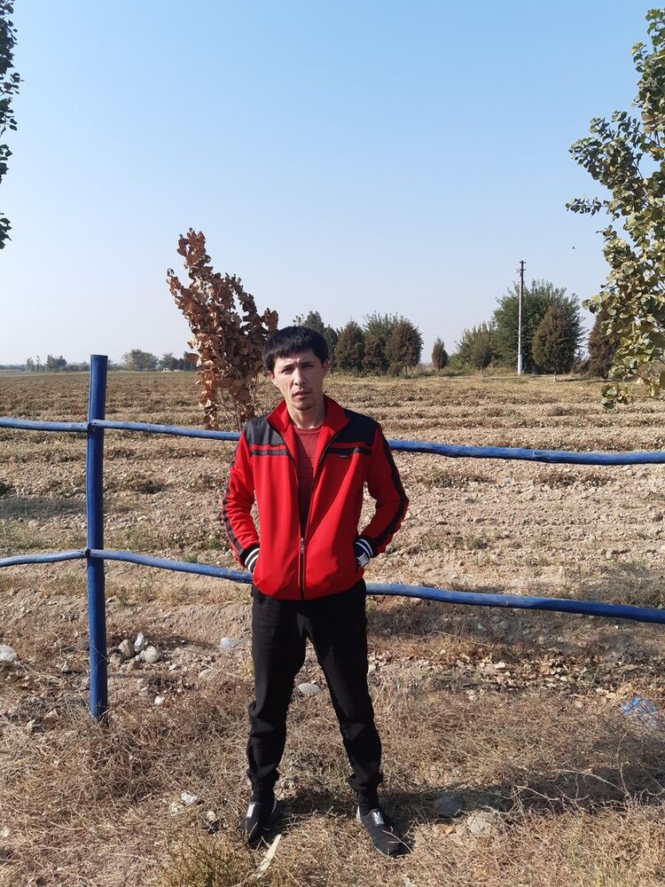 ���� 21650766 ������� Mirkomi, 29 ���, ���� ���������� � ��������