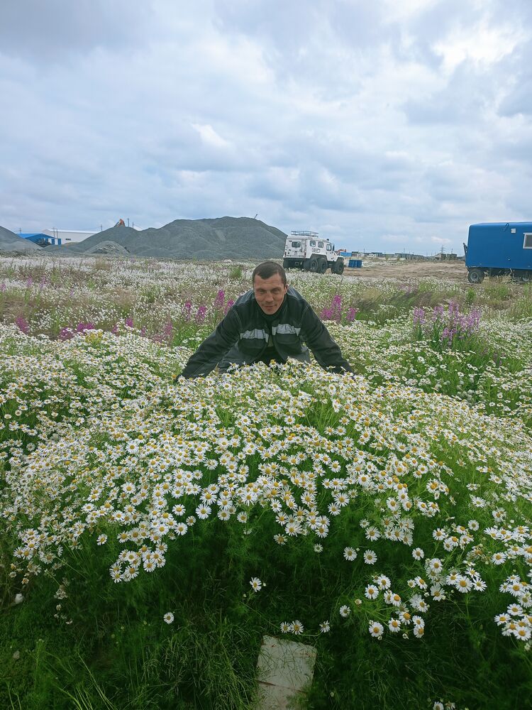 ���������� ��������, ���� ������� �������, 46 ���, ������������ ��� ������, ����� � ���������, c�������� ���������