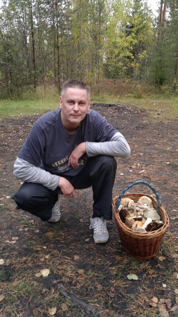  18631716  , 48 ,    -