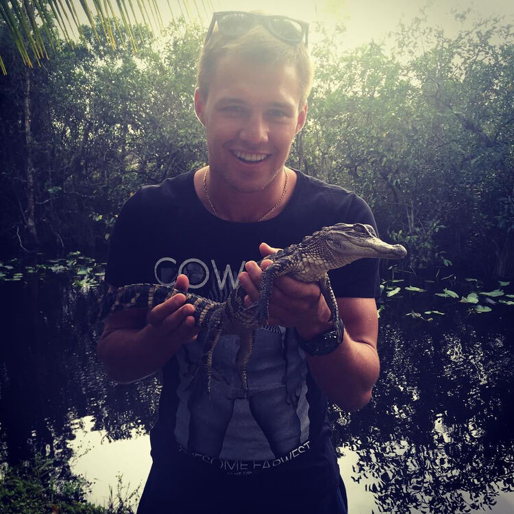 ���������� ������, ���� ������� ������, 35 ���, ������������ ��� ������, ����� � ���������