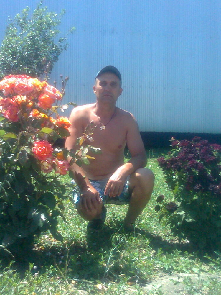  18364216  , 55 ,    --