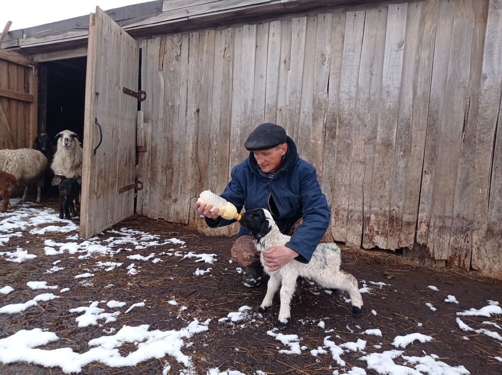  53717676  Suren, 52 ,    