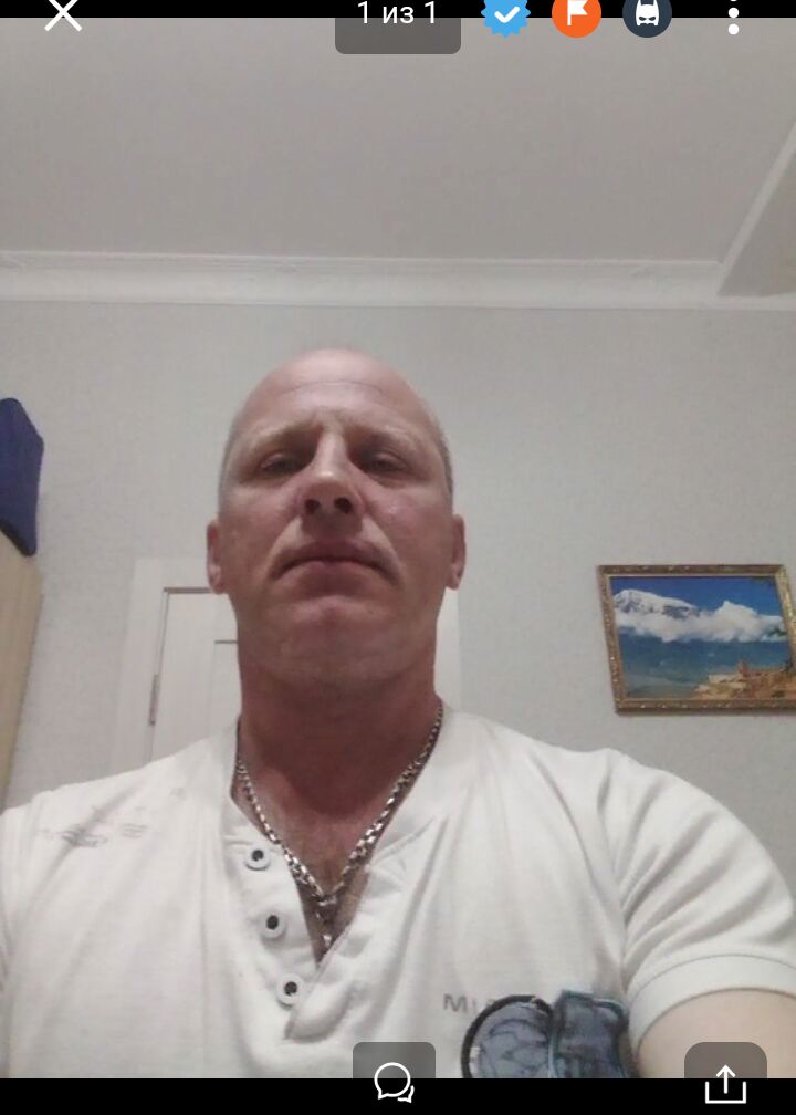  24676486  , 50 ,    