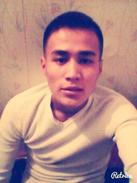  4905786  , 37 ,    