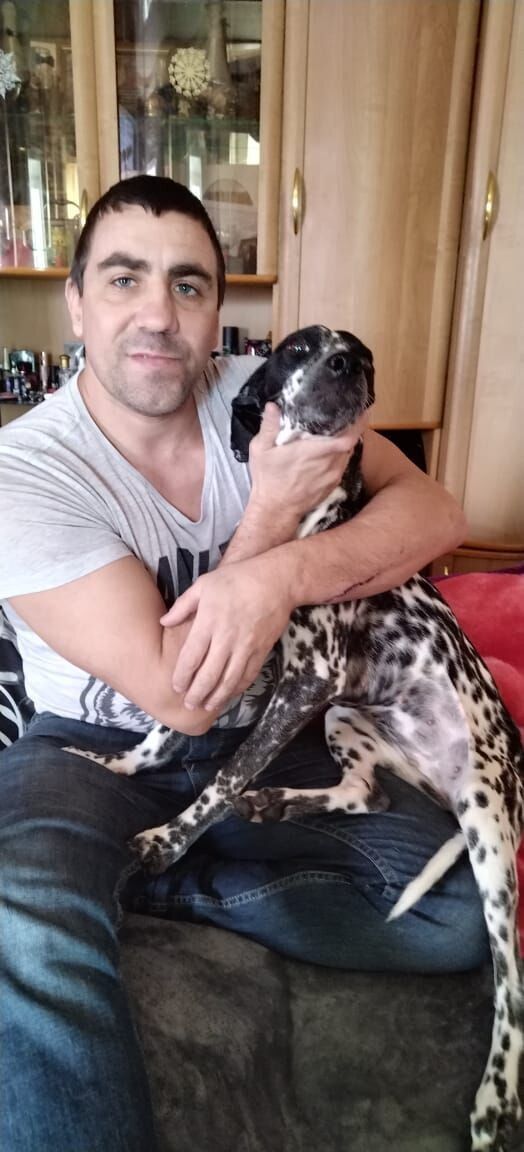 ���� 55416196 ������� ������, 41 ���, ���� ���������� � ����������