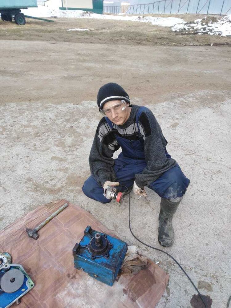  43170446  , 37 ,    -