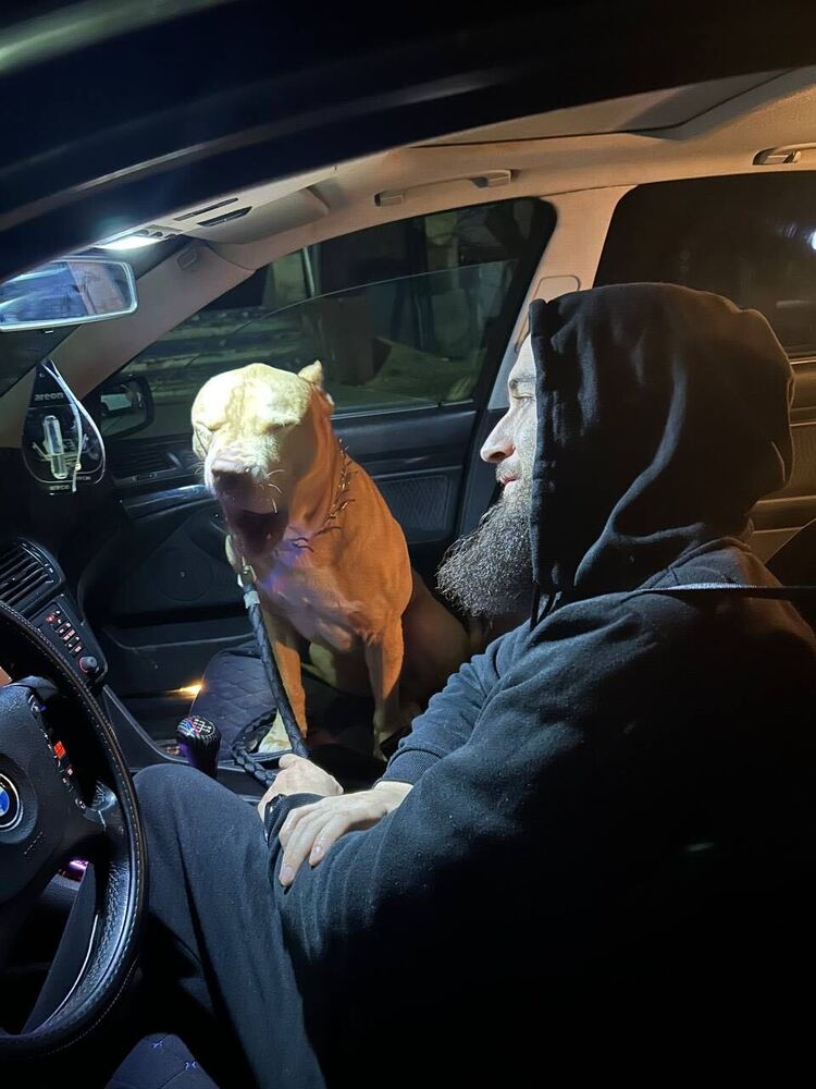 ���������� ������, ���� ����� Karin, 25 ���, ������������ ��� ������, ����� � ���������