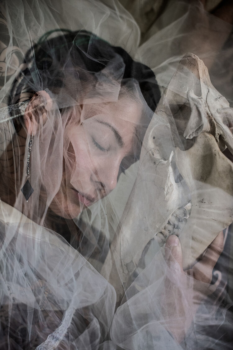 ���� 56293116 ������� ����, 34 ����, ���� ���������� � ������