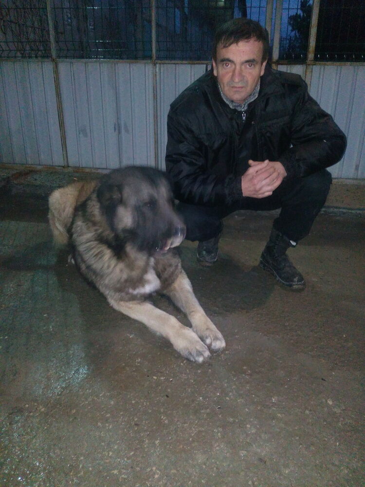  ,   , 56 ,   