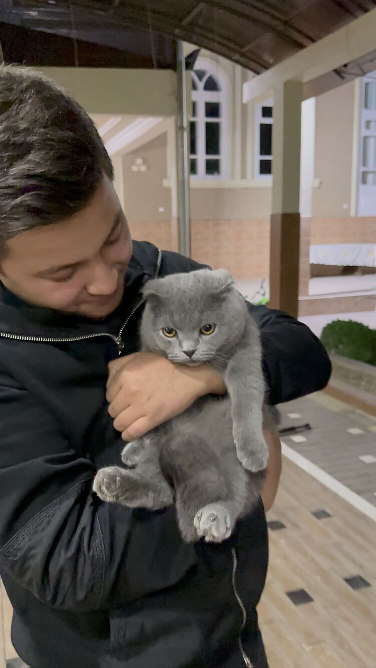 ���������� �������, ���� ������� �����, 29 ���, ������������ ��� ������, ����� � ���������