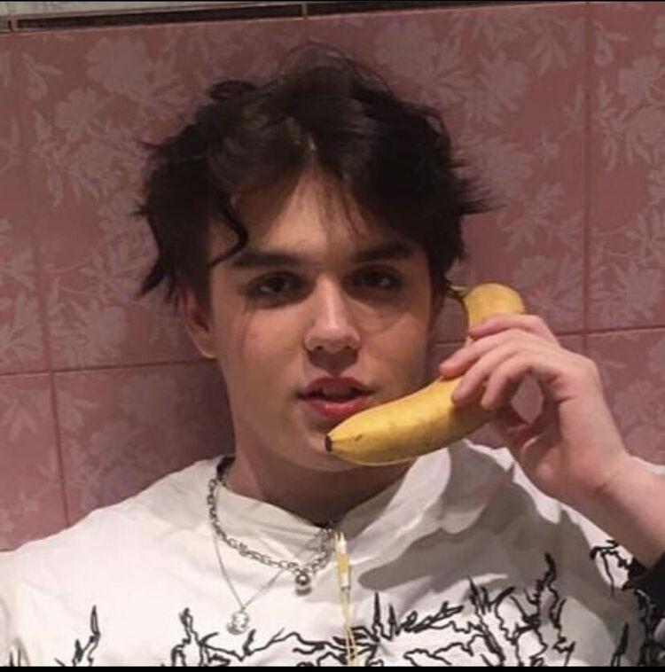  28448586  , 21 ,    