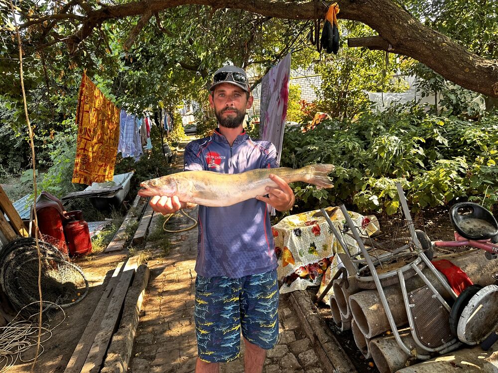 ���������� ������, ���� ������� ������, 43 ����, ������������ ��� ����� � ���������, c�������� ���������