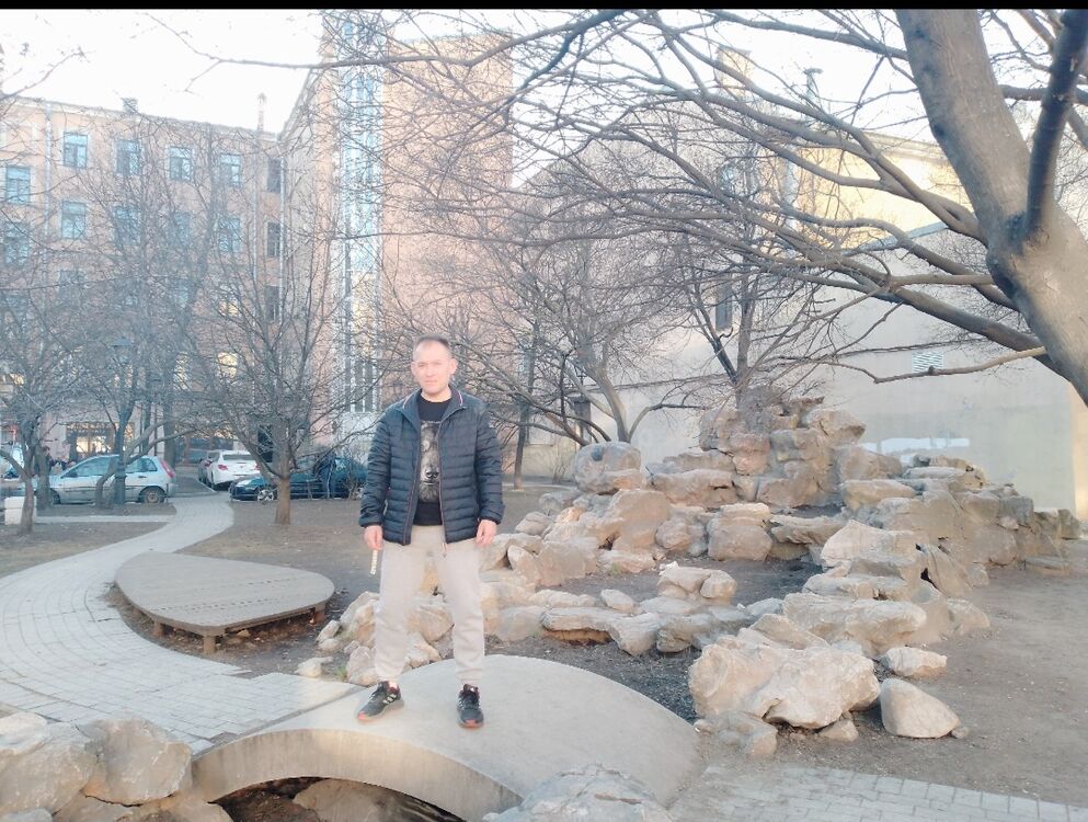  54283476  , 49 ,    -