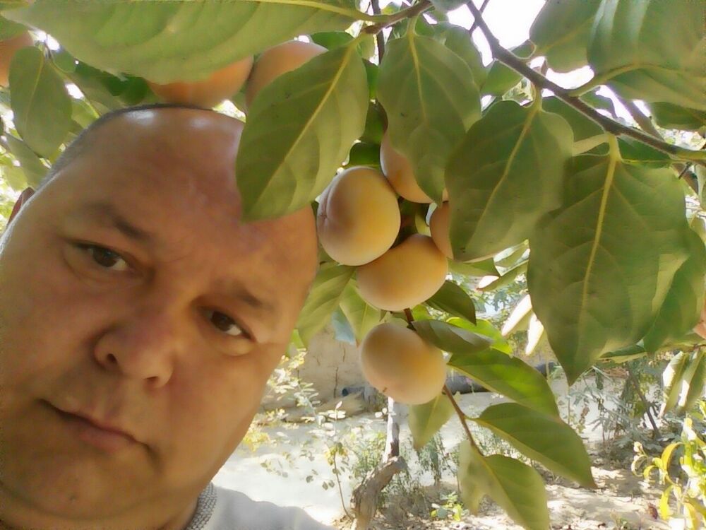  16751776  Azizhon, 45 ,    