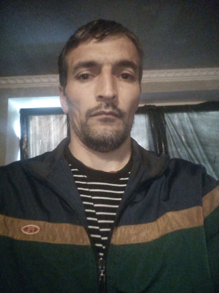 31027366  , 44 ,    
