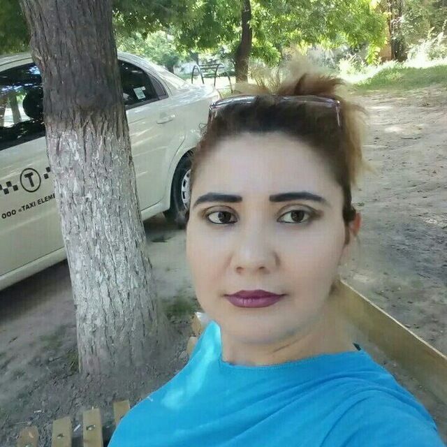  23373556  , 41 ,    