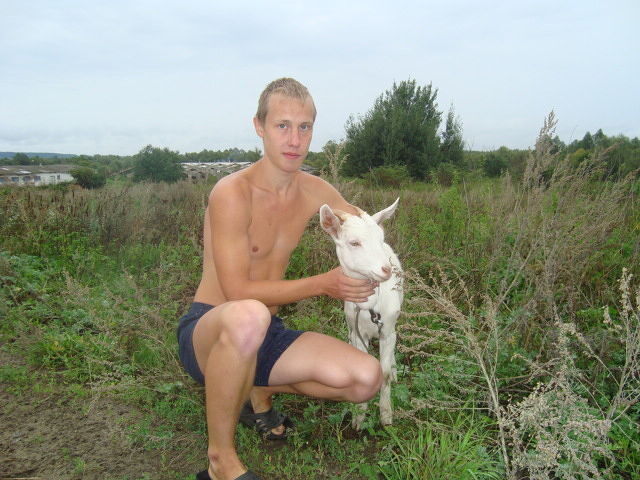 ���������� �����, ���� ������� ������, 33 ����, ������������ ��� ����� � ���������, c�������� ���������