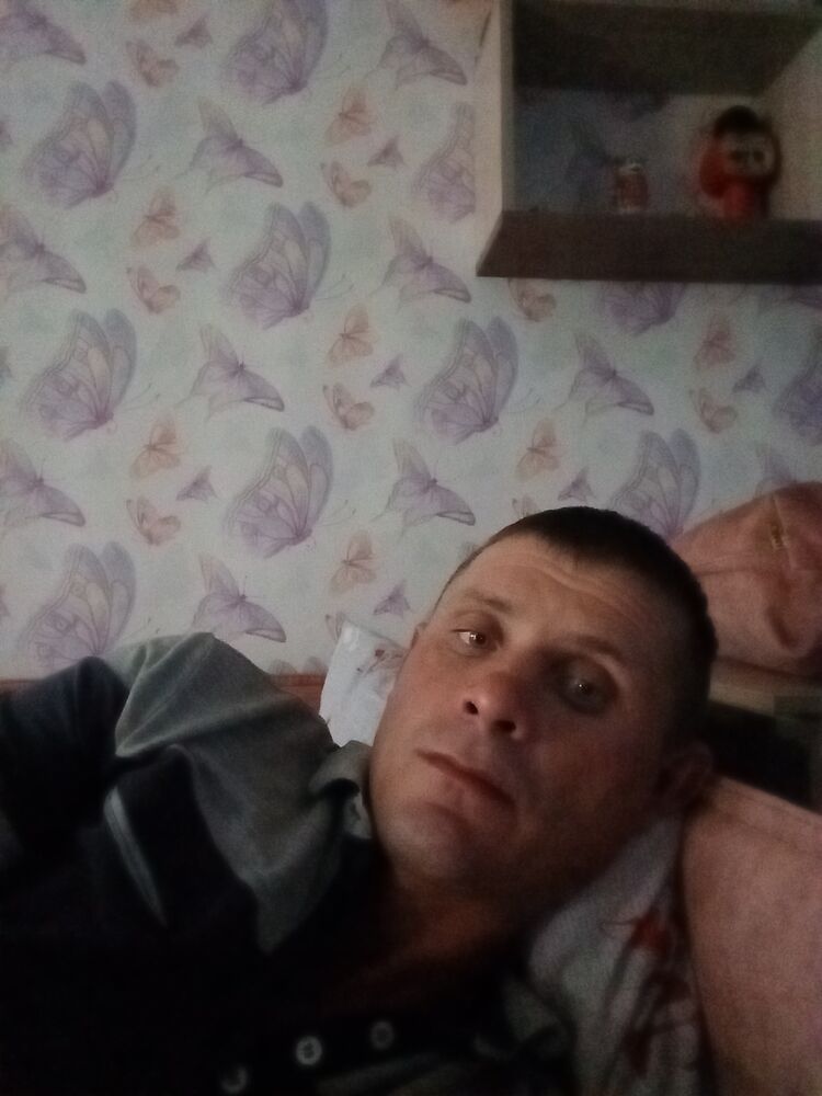  52597906  , 38 ,    