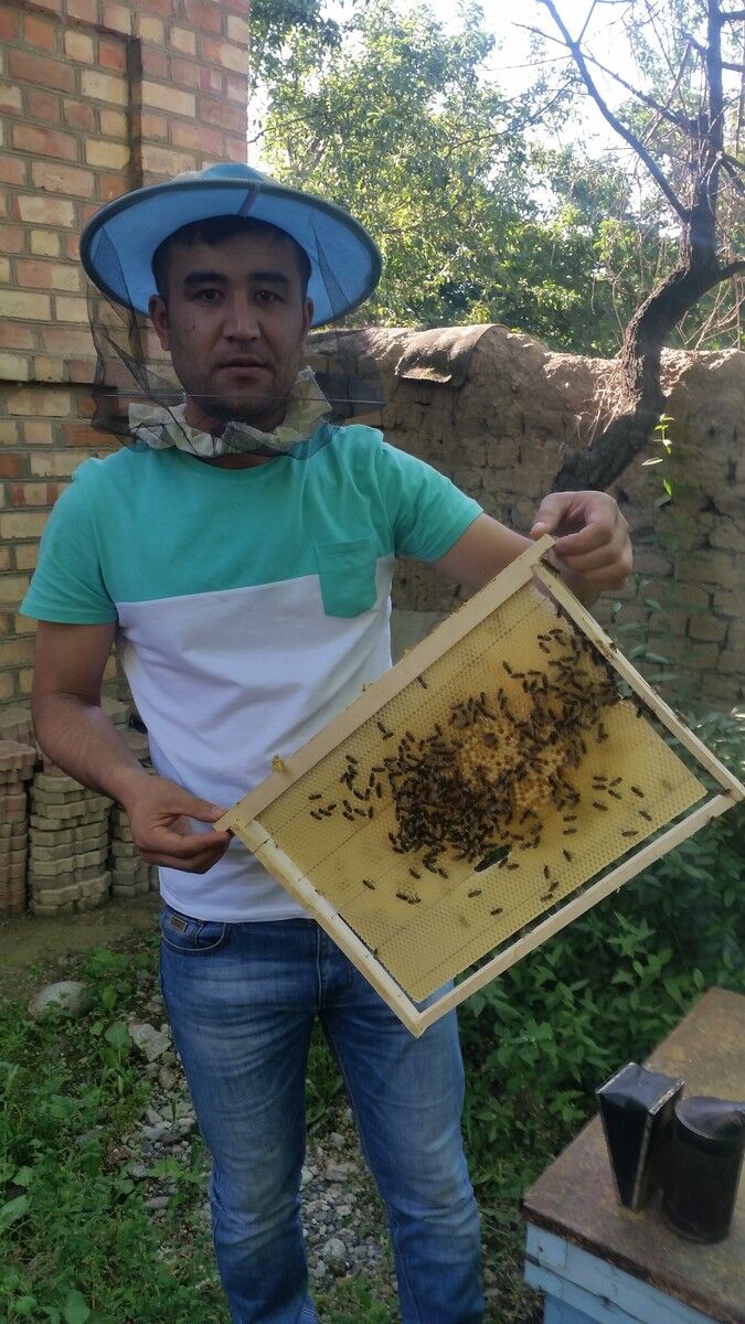 ���� 12686696 ������� ���, 38 ���, ���� ���������� � ������