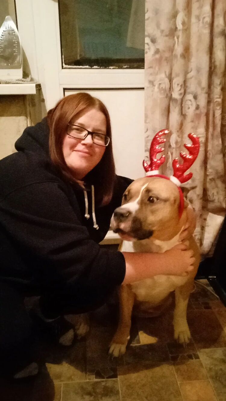 ���������� ������, ���� ������� ��������, 38 ���, ������������ ��� ���������