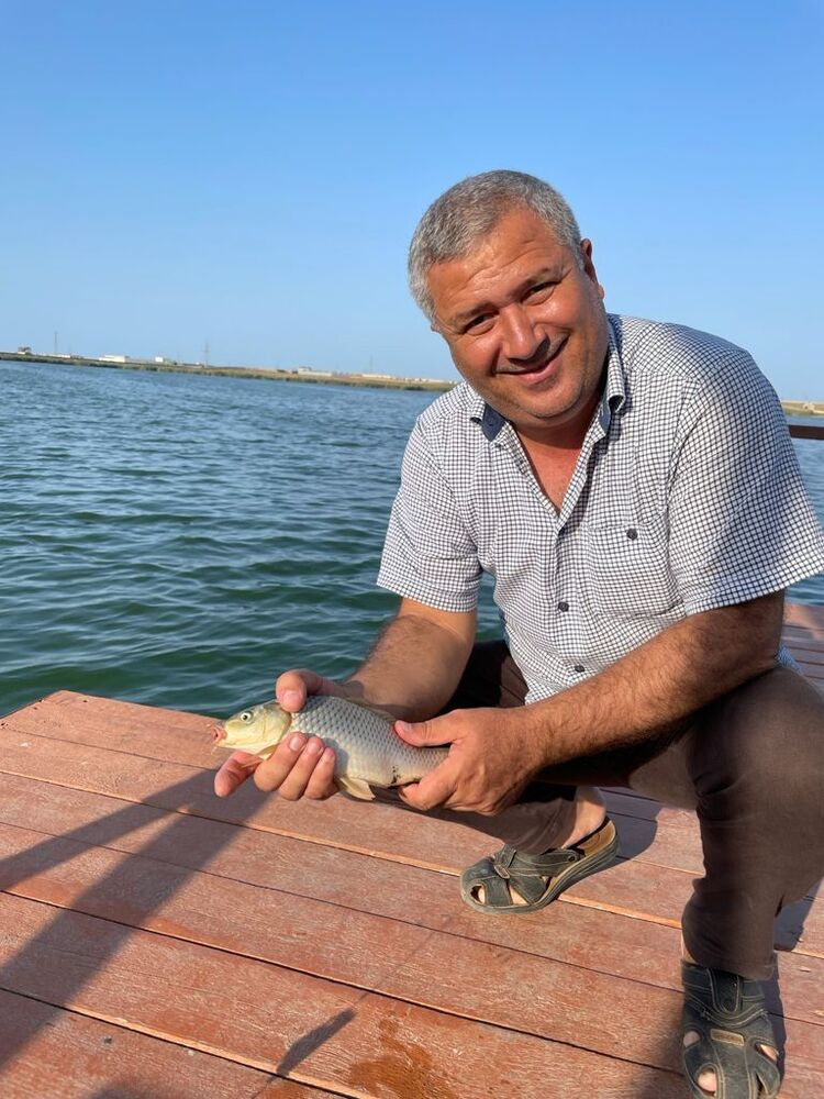  23882166  Elman, 49 ,    