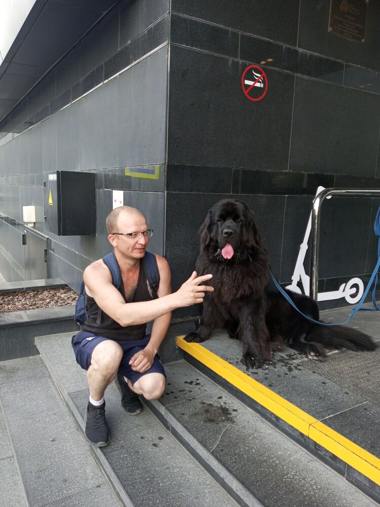 ���������� ������, ���� ������� ����, 44 ����, ������������ ��� ������, ����� � ���������