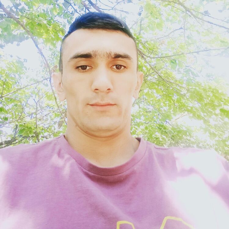  28043686  , 30 ,    