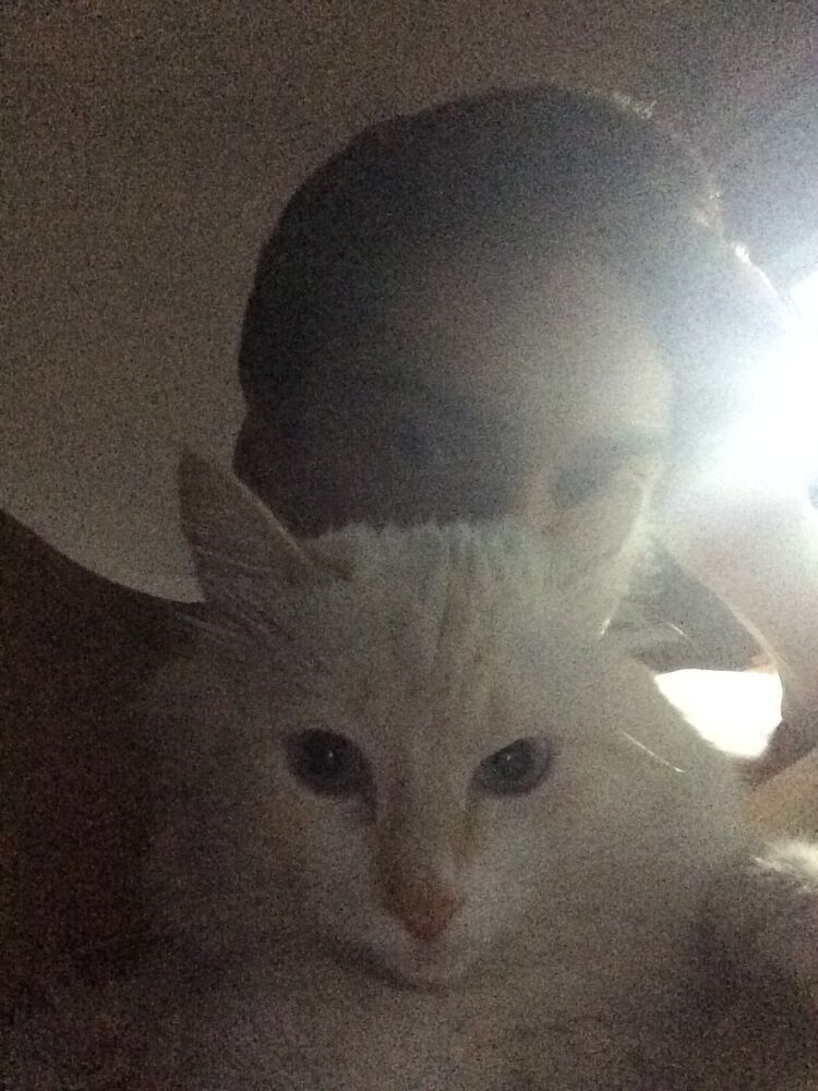  ,   Aleksandr, 29 ,   