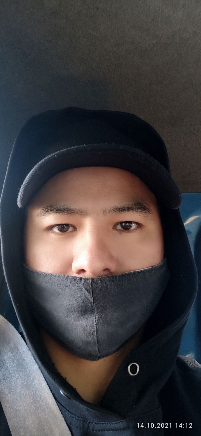 ���� 25379846 ������� Tigr, 42 ����, ���� ���������� � ���������