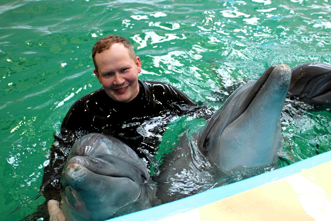 ���������� �������, ���� ������� �������, 32 ����, ������������ ��� ������, ����� � ���������