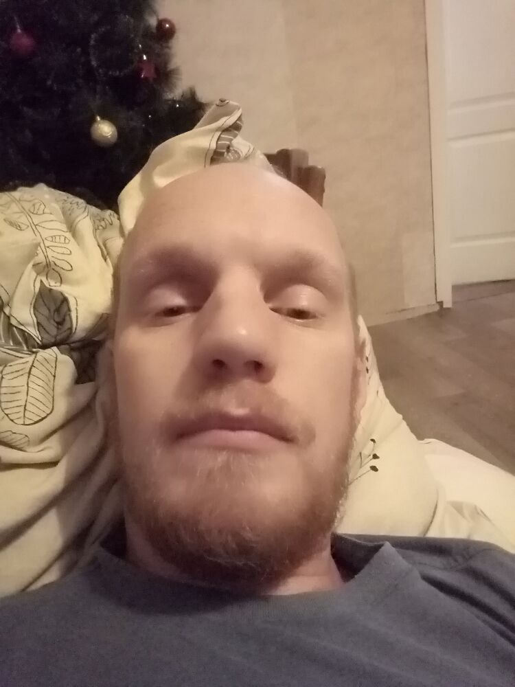 ���� 31028736 ������� �������, 38 ���, ���� ���������� � ��������