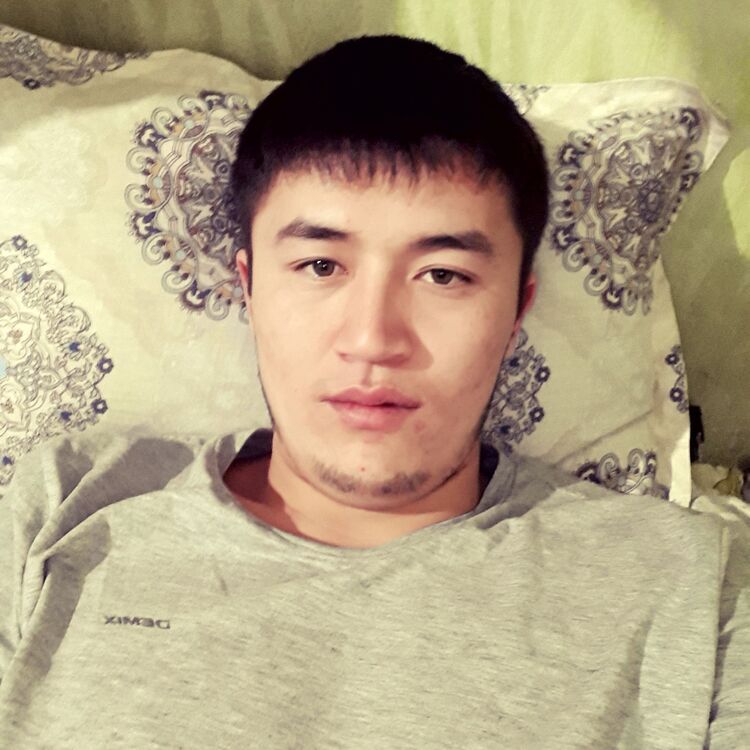  11088386  , 32 ,    -