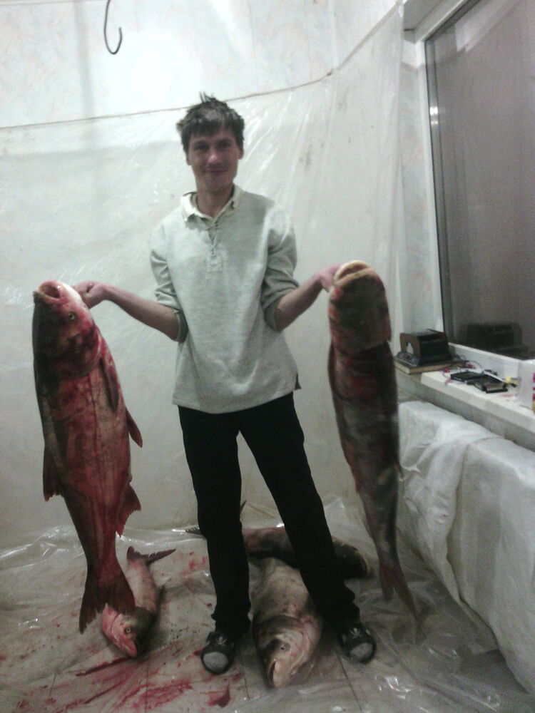 ���� 32796076 ������� �������, 41 ���, ���� ���������� � ���������