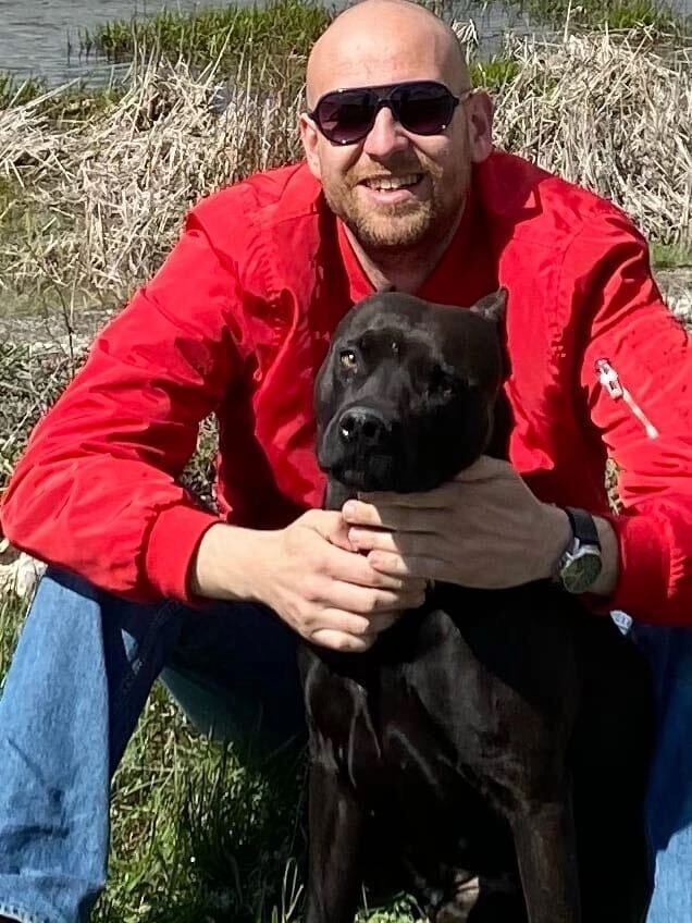 ���� 31293736 ������� ����, 33 ����, ���� ���������� � ������